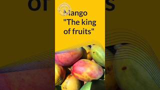 5 Shocking Things About Mango Fruit|Mango :This Was #Unexpected#fruit#healthyfood #shorts #mango