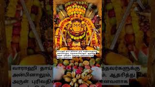 வாராஹியை நாடிவர்களை ஆதரித்து அருள் புரிவாள்.  #festival #வார்த்தாளி #srivarahiammanhistoryintamil