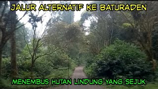 Masuk Kawasan Hutan Baturaden