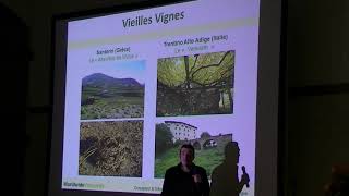 Conférence La Vigne au 21ème siècle - Marc Birebent, Worldwide Vineyards. Extrait 3/15