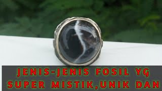 JENIS-JENIS BATU FOSIL YG SUPER MISTIS,UNIK DAN ANTIK