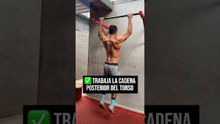 Conoce los beneficios de las pull ups