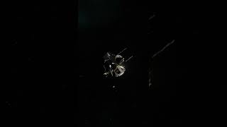 High orbit satellite