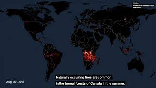 Map of Wildfires Around the World