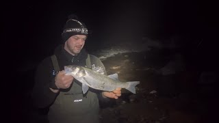 Beach fishing for Cod!