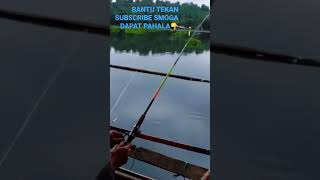 MANCING IKAN TARIKANNYA ENAK POOOL MAS BRO#fishing