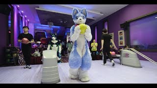 Thailand's Second Furbowl 2017 (4K)