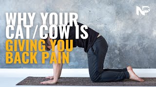 Why Your Cat/Cow is GIVING you back pain!