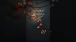 ROMANTIC URDU POETRY URDU SHAYARI SAD STATUS VIDEO 2023