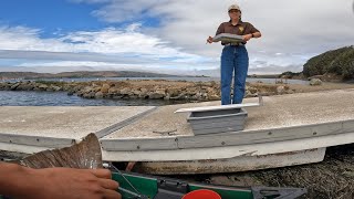 California halibut fishing in tomales Bay on September 18, 2024.