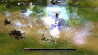 Silkroad Online BIATSH killed Captin Ivy #3 & Cerberus #10 on Mena