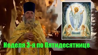 Неделя 3-я по Пятидесятнице. Проповедь иерея Сергия Симакова