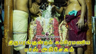 திருப்பரங்குன்றம் சுப்பிரமணிய சுவாமி மஹா பால் அபிசேகம் Abishegam Thirupurankundram @MATHURAPICTURES