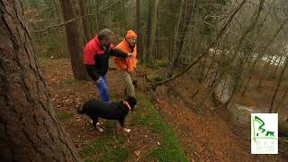 Bergwald, Hochwasser und Jagd