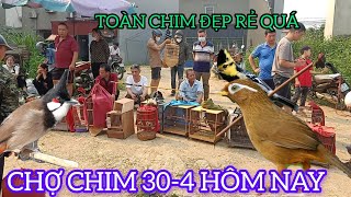 CHỢ CHIM CẢNH NGHỈ LỄ 30-4 RẤT NHIỀU CHIM ĐẸP XUẤT HIỆN KHÔNG HIỂU TẠI SAO