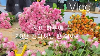 꽃집직원vlog) 20대 후반 직원의 꽃집 적응기 | 하루종일 장미 컨디셔닝 하기