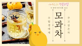 [#아녜스의행복찻집] 수험생들에게 우려주고 싶은 차 / 감기예방 + 뼈건강에도 좋대요 / 솔로몬의 노래에 나오는 그 열매?! / 모과차 / #다함께차차차시즌3 #보이는라디오