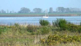 Ausblicke vom Campingplatz Nordenham