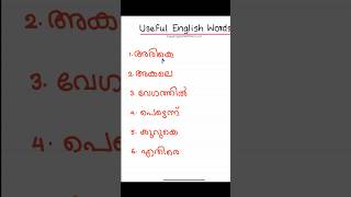 DAY 15 of 100 USEFUL ENGLISH WORDS #easyenglishwithvini #spokenenglishclassinmalayalam