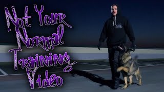 Not Your Normal Dog Training Video