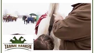 Ein Mann für alle Fälle: Tamme guckt sich ein Westernpferd an | Tamme Hanken | Kabel Eins