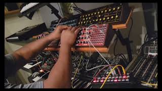 Moog Matriarch -Behringer neutrons 2x - korg sq1 - wasp into a synth drum machine