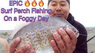 FOGGY DAY of HUGE California Redtail Surf Perch Fishing!!