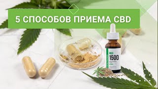 5 Способов приема масла CBD/ Выбирайте удобный для вас