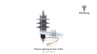 Lightning Arrester: 6/9kV Polymer