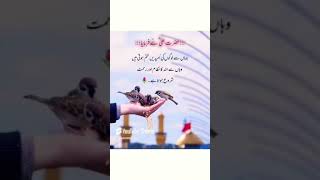 حضرت علی  نے فرمایا