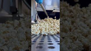 Kettle Corn Batch... coming out of the pot into the shaker table. Very satisfying!!!