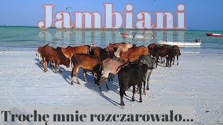 🇹🇿 Jambiani już nie takie kolorowe / Pili Pili /🏝️ Spacer do Paje / Impreza na Plaży - Zanzibar 2021