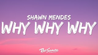 Shawn Mendes - Why Why Why (Lyrics)