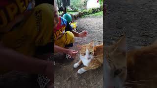 main sama kucing #24months #haidarstory #short #shorts #shortsvideo #shortvideo #videoanak #kucing