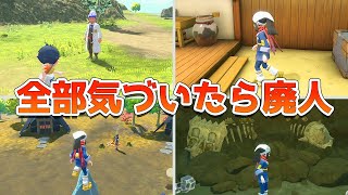 ポケモンレジェンズアルセウス 開発者が廃人用に隠した小ネタ・隠し要素をまとめてみた