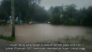 Detik Detik Banjir Bandang Terjang Kawasan Jember Jawa timur