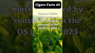 Cigars facts 43