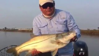 Robalo capturado río González Pantanos de Centla