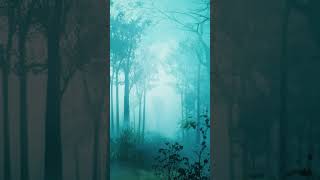 DEEP SLEEP ~ Sleep Music ~ Relaxing Music ~ Relieve Insomnia ~ Healing Music ~ Meditation Music