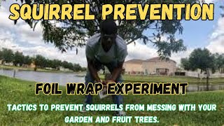 DOES FOIL WRAPPING YOUR TREE PREVENT SQUIRRELS FROM STEALING? #justaradlife #squirrel #gardenhacks