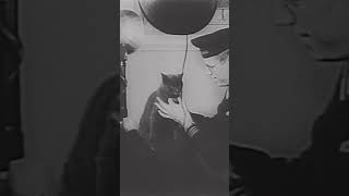 Enjoy this clip of this cat who joined the coast guard. #historicmoments #history #shortvideo