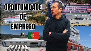 2024: Trabalhar no Interior de Portugal | As Fábricas de Lamego | 🇵🇹