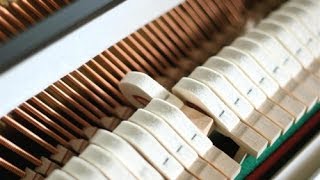 Regulating - Bill The Piano Tuner