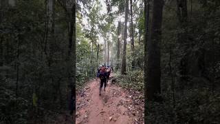 Sabarimala Peddapadam Trek - Vanayatra | Batasari travel tales | Telugu traveller