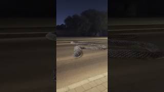 Big Snake Bolok Roud #ytshorts #viral #shorts #short #shortsviral #shortsfeed #shots #share