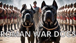 Canix Pugnax: Rome's MOST DANGEROUS War Dogs