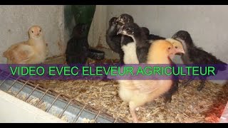 VIDEO AVEC ÉLEVEUR AGRICULTEUR !