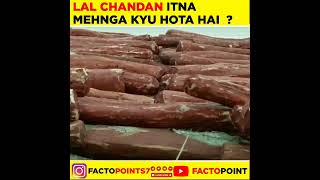 Why redsandal wood is so costly?? 😲😲🤔🤔#factopoint #shortsvideo