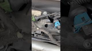 Audi A6 Screeching Noise