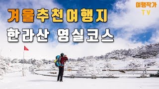 국내 겨울 여행지 추천 : 눈꽃 가득한 한라산 영실코스